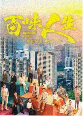 电视剧雾港追凶海报